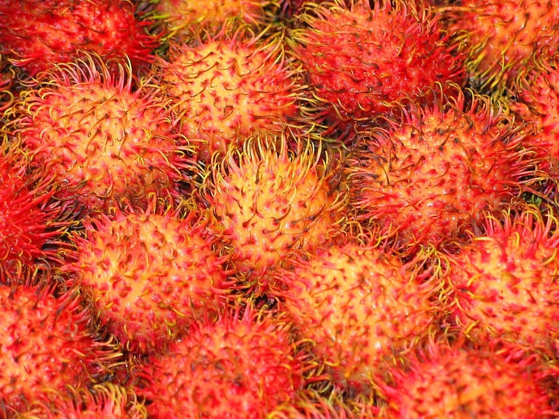 Exotic Fusion Specialties